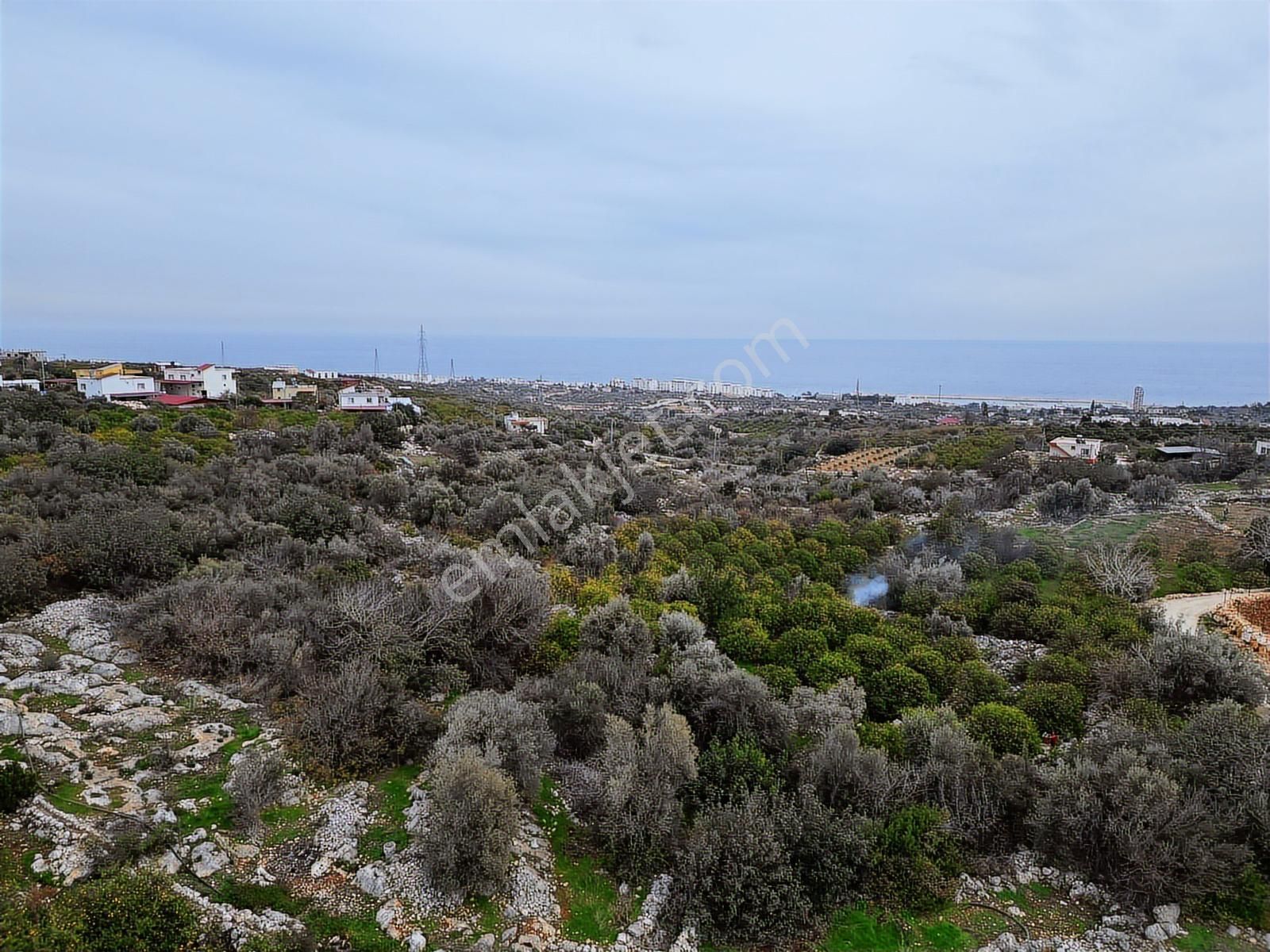 Mersin Erdemli Kumkuyu Akdeniz Mahallesinde Satılık Limon Bahçe - Görsel 4