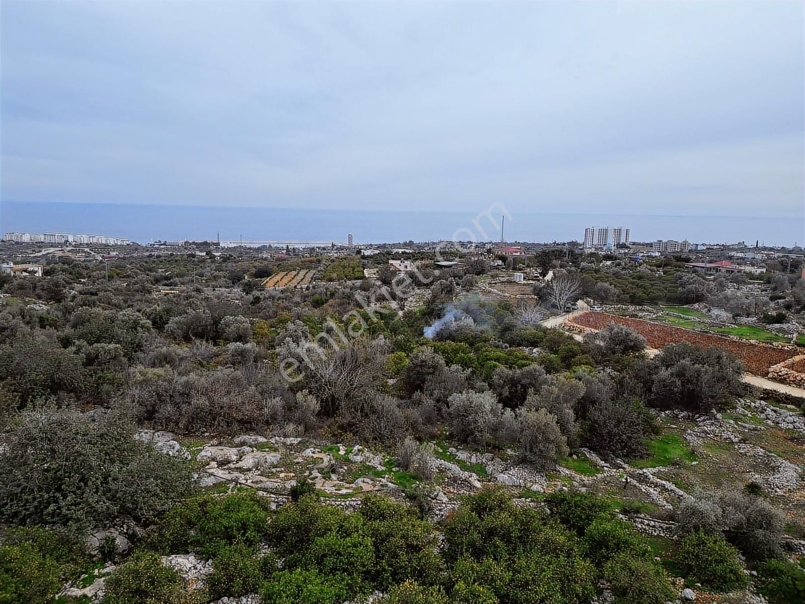 Mersin Erdemli Kumkuyu Akdeniz Mahallesinde Satılık Limon Bahçe - Görsel 15