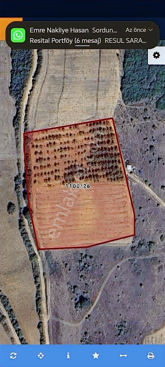 Yenişehir Barcın 12.000m2 Ceviz Bahçesi Ve Tarla - Görsel 4