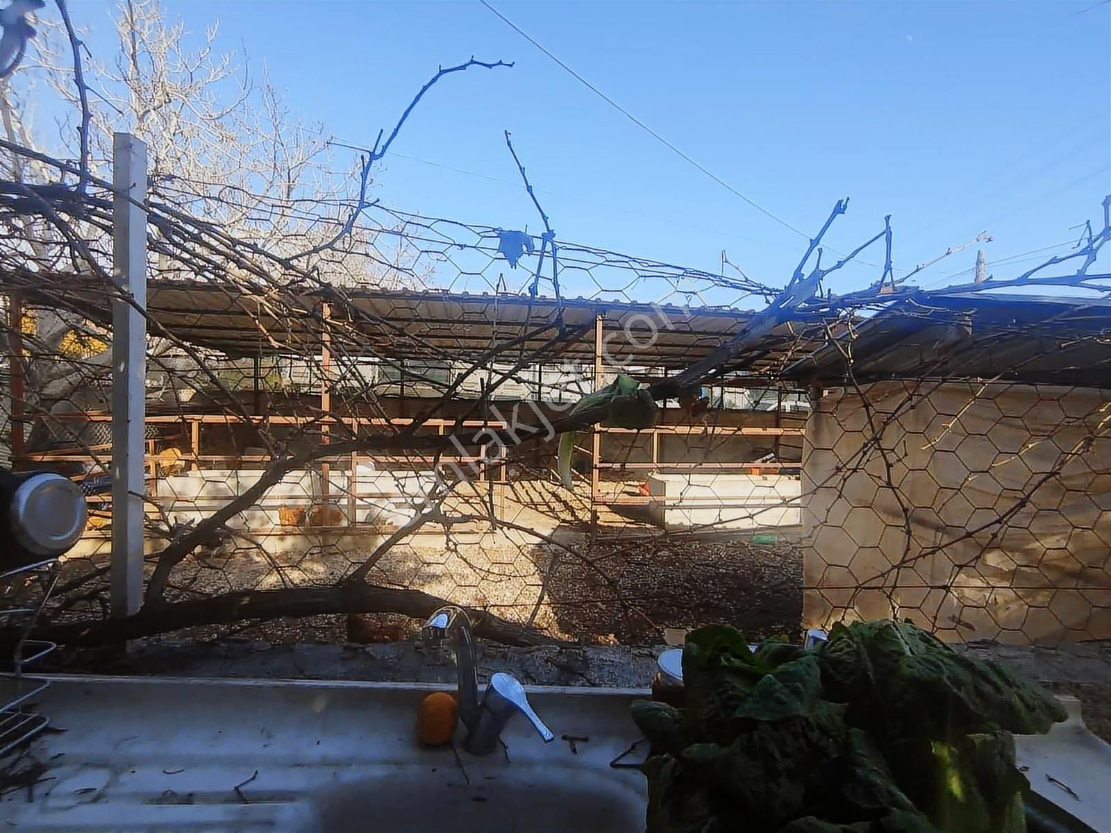 İndex Gayrimenkulden Köşe Parsel Müstakil - Görsel 6