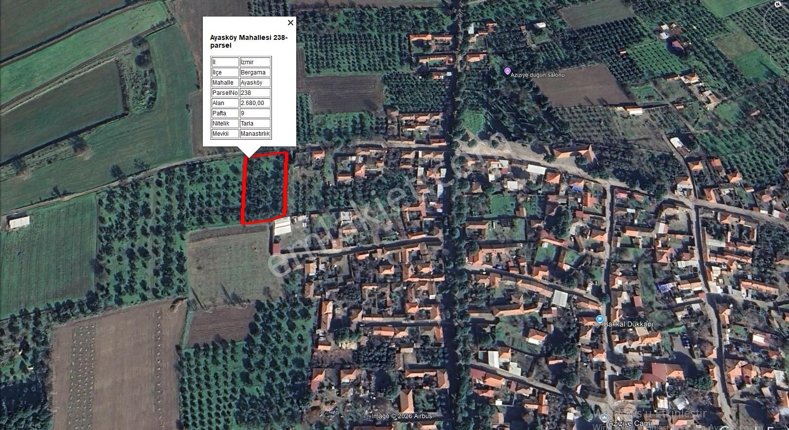 Bergama Ayazköy De Yerleşim Yanı 2680 M2 Zeytinlik - Görsel 2