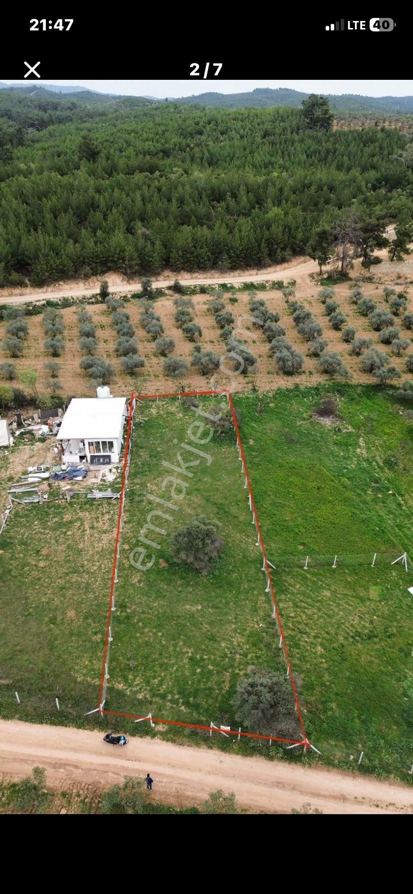 Torbalı Dirmil Küyünde 850 M2 Satılık Uygun Fiyatlı Harika Bahçe - Görsel 2