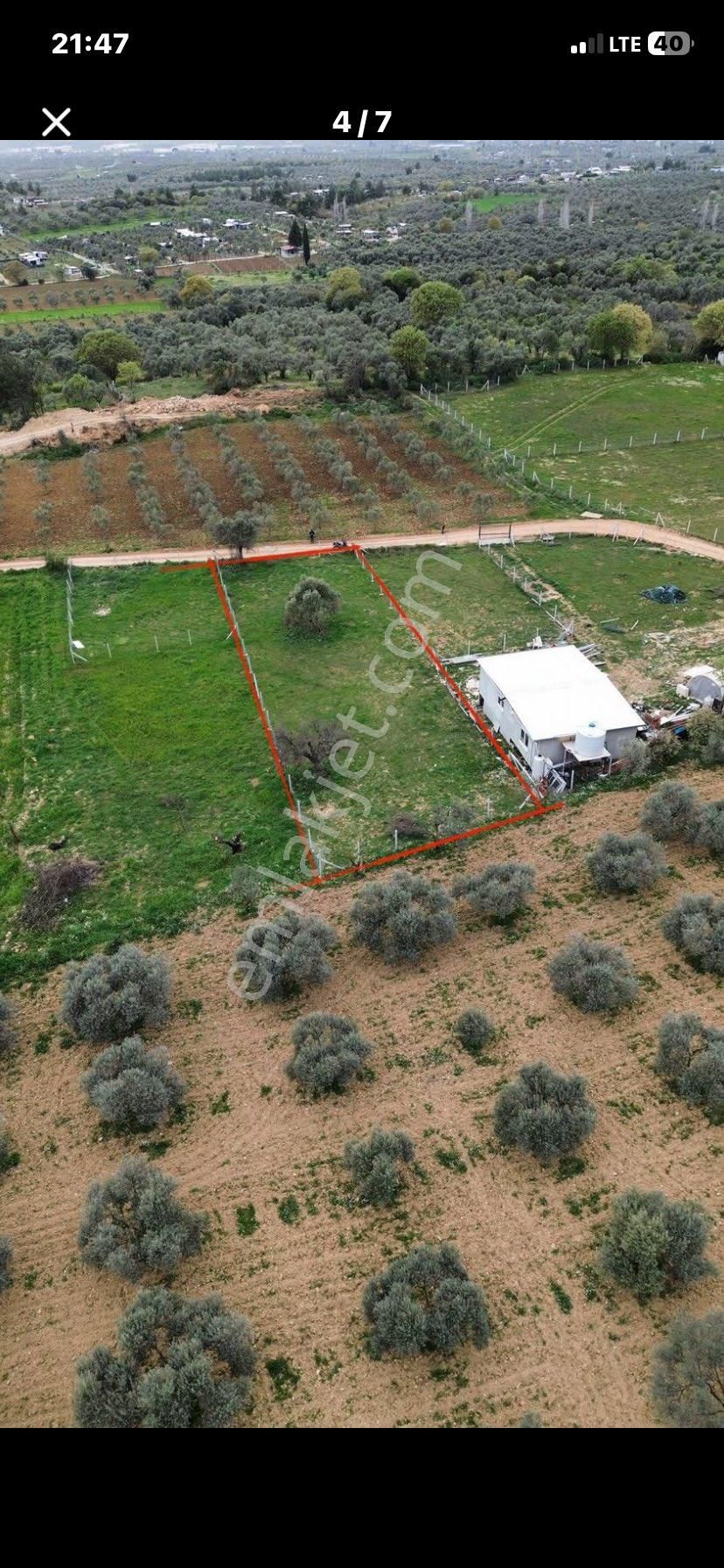 Torbalı Dirmil Küyünde 850 M2 Satılık Uygun Fiyatlı Harika Bahçe - Görsel 5