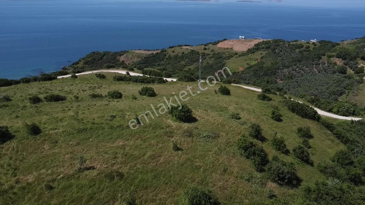 Bandırma Stm Emlaktan Dutlimanda Satılık Deniz Manzaralı Tarla - Görsel 13