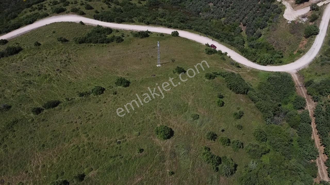 Bandırma Stm Emlaktan Dutlimanda Satılık Deniz Manzaralı Tarla - Görsel 8