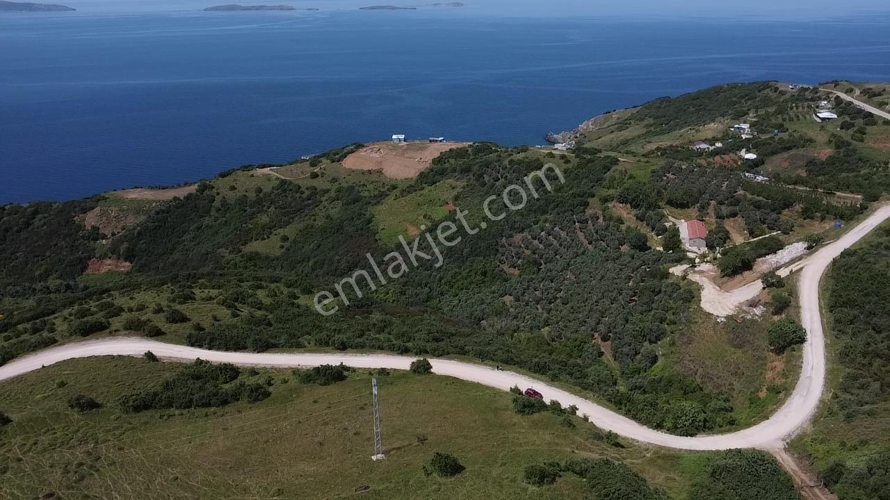 Bandırma Stm Emlaktan Dutlimanda Satılık Deniz Manzaralı Tarla