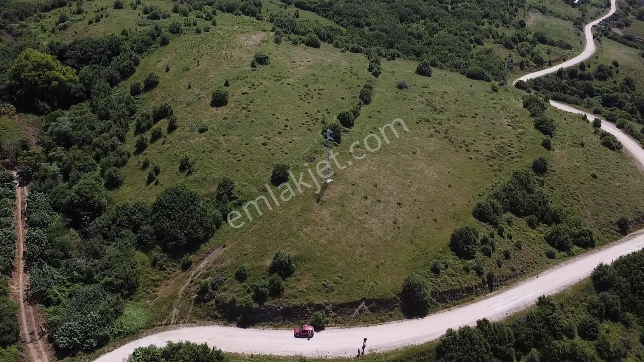 Bandırma Stm Emlaktan Dutlimanda Satılık Deniz Manzaralı Tarla - Görsel 10