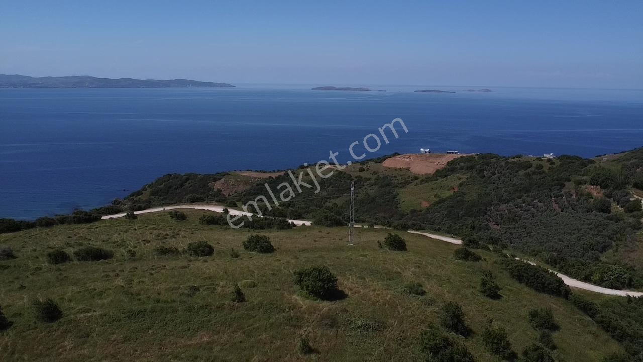 Bandırma Stm Emlaktan Dutlimanda Satılık Deniz Manzaralı Tarla - Görsel 12