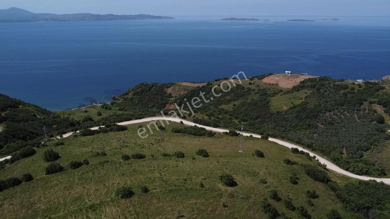 Bandırma Stm Emlaktan Dutlimanda Satılık Deniz Manzaralı Tarla - Görsel 15