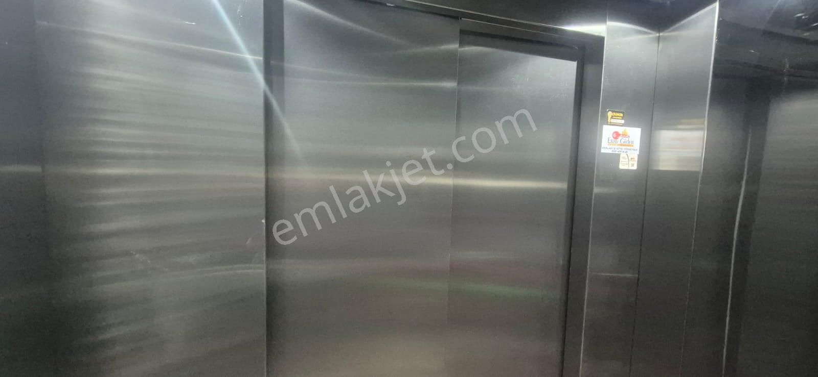 Kuşadası Davutlarda 2+1 Arakat Daıre - Görsel 7