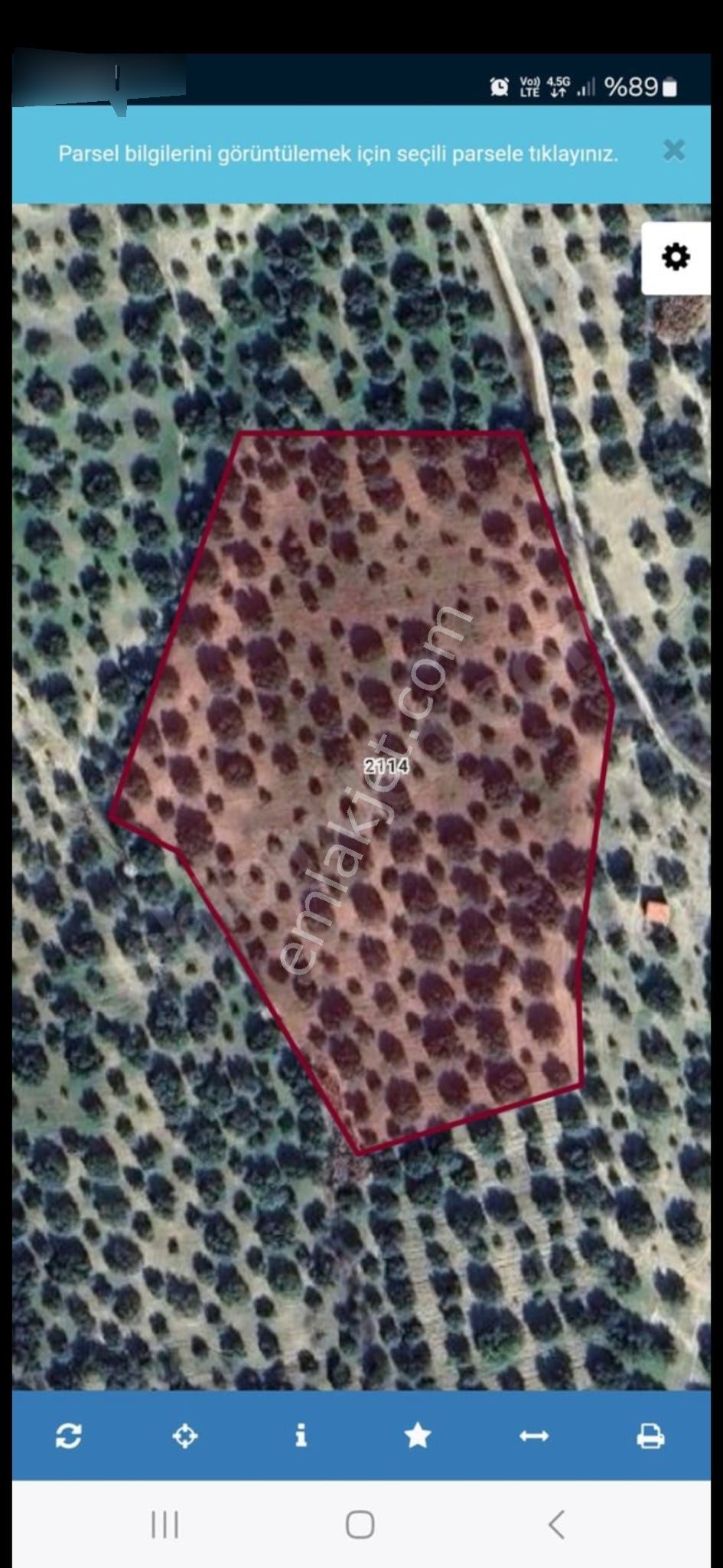 Manisa/akhisar Zeytinliova ' Da Zeytinlik - 17 Dönüm - Görsel 2