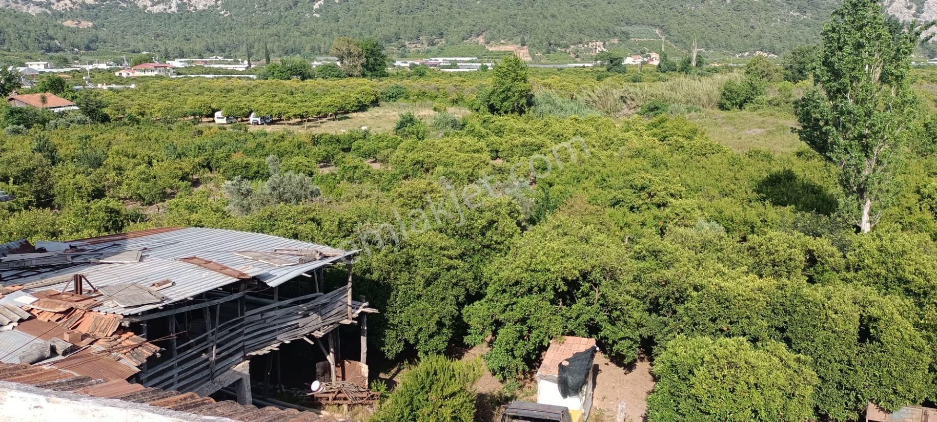 Kumluca Adrasanda Satılık Arsa-tarla( Dönüm Fiyatı) - Görsel 8
