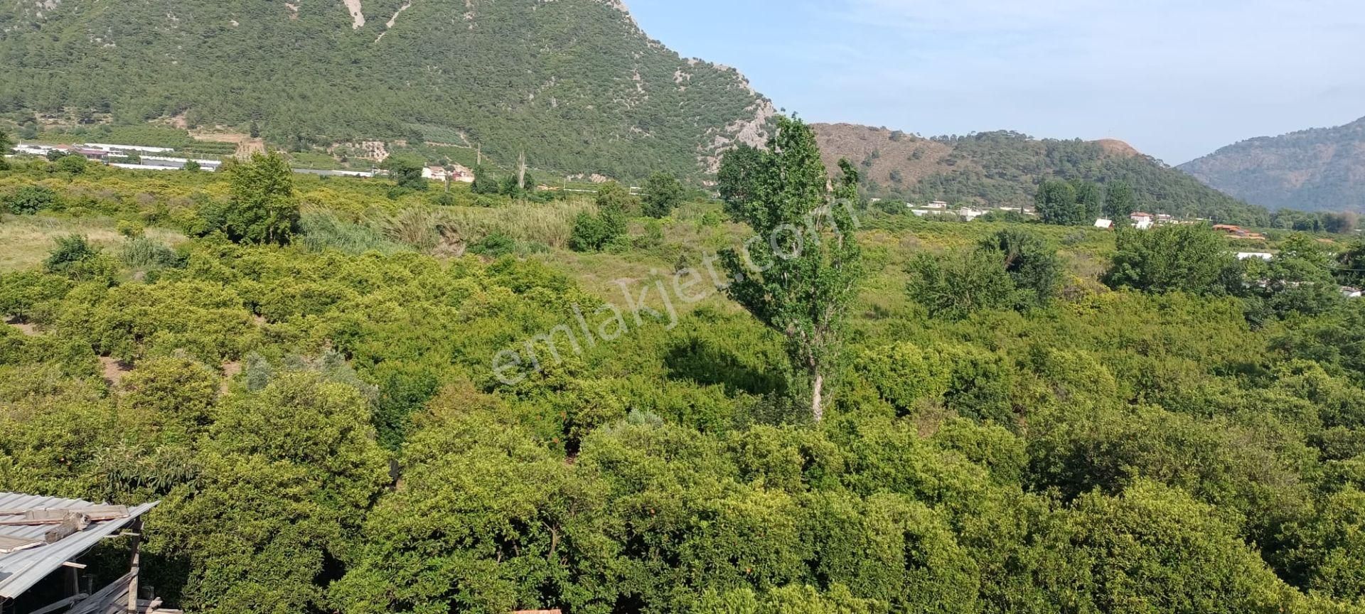 Kumluca Adrasanda Satılık Arsa-tarla( Dönüm Fiyatı) - Görsel 7