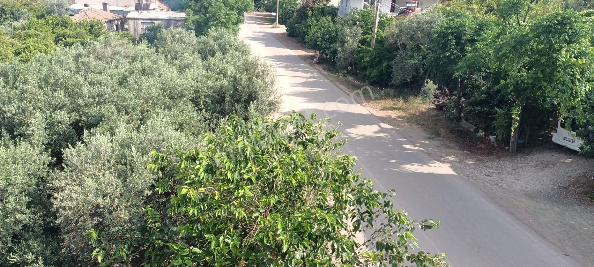 Kumluca Adrasanda Satılık Arsa-tarla( Dönüm Fiyatı) - Görsel 12