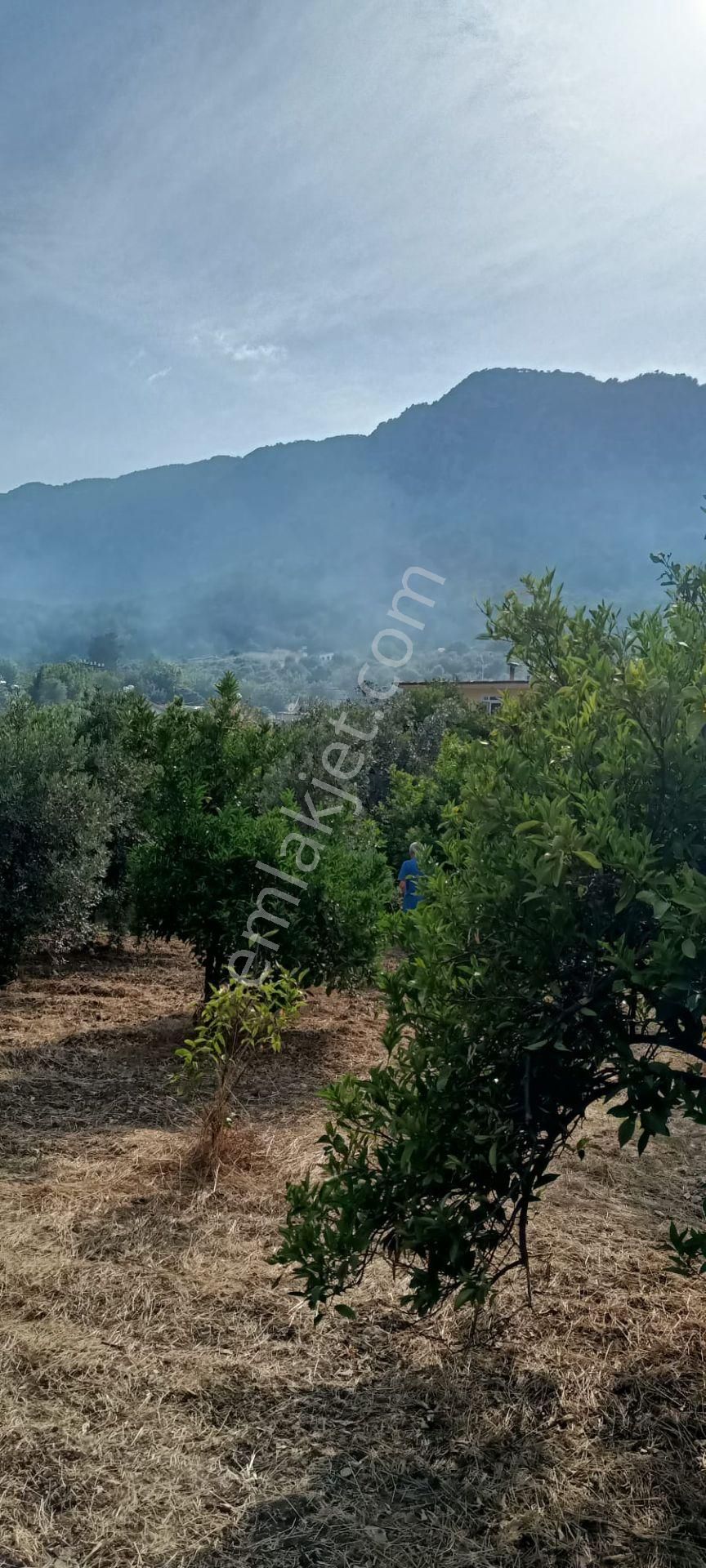 Kumluca Adrasanda Satılık Arsa-tarla( Dönüm Fiyatı) - Görsel 20