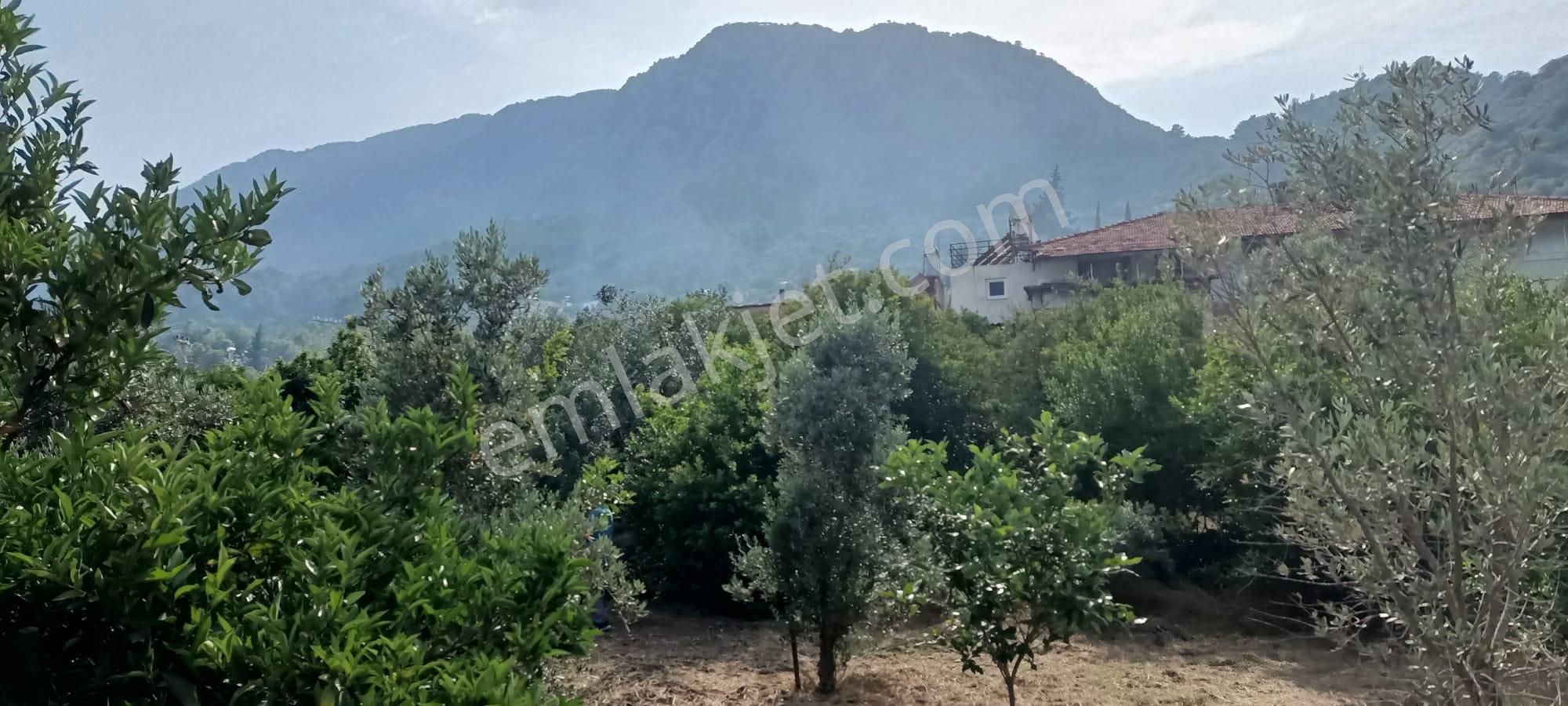 Kumluca Adrasanda Satılık Arsa-tarla( Dönüm Fiyatı) - Görsel 22