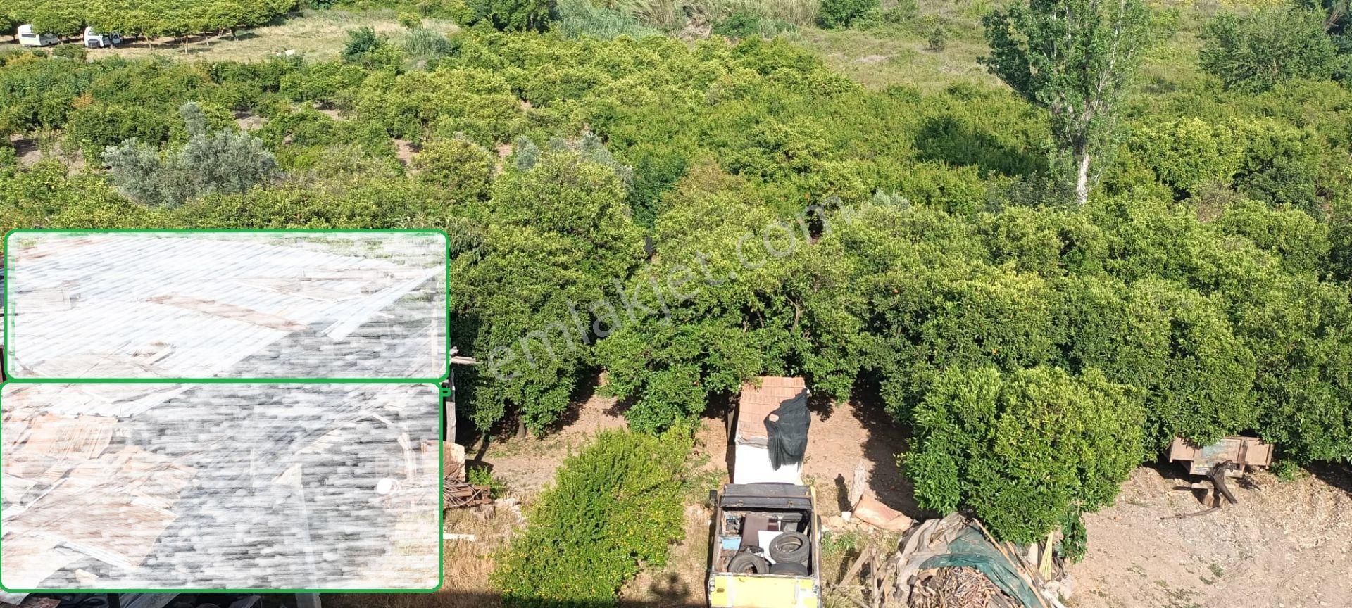 Kumluca Adrasanda Satılık Arsa-tarla( Dönüm Fiyatı) - Görsel 13