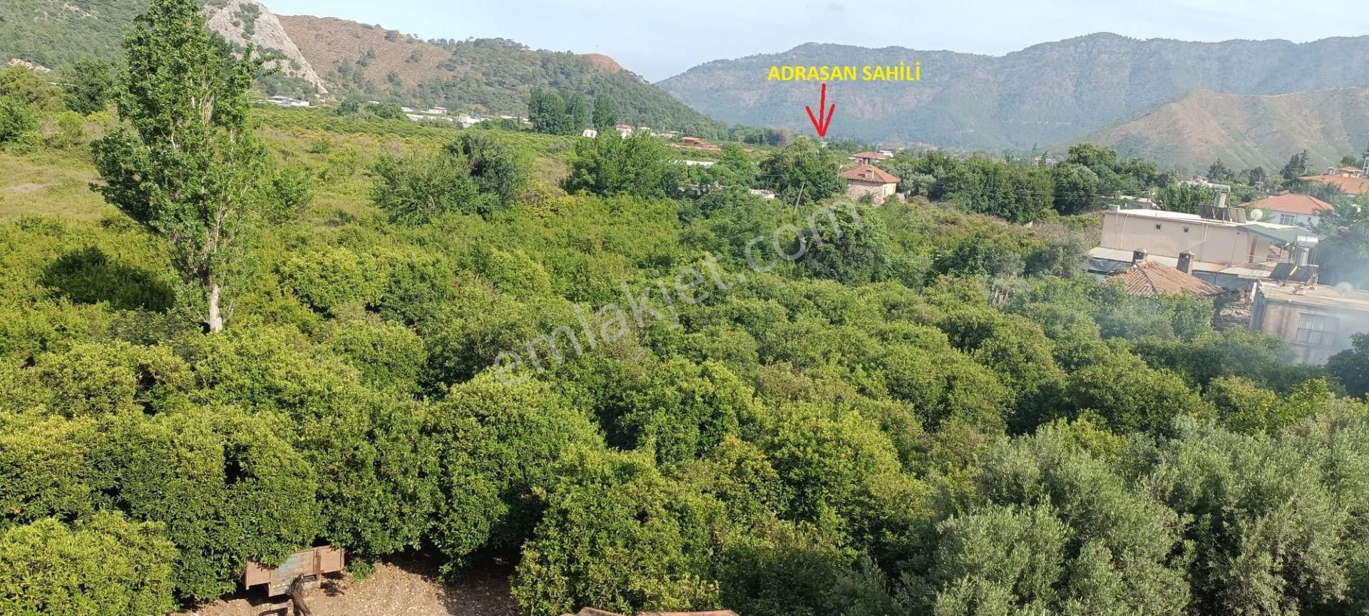 Kumluca Adrasanda Satılık Arsa-tarla( Dönüm Fiyatı) - Görsel 4