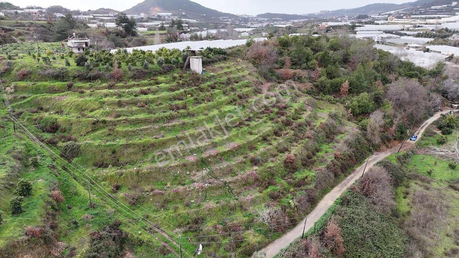 Alanya Toslak Yeniköy'de Yola Sıfır 5.449m2 Satılık Tarla - Görsel 12
