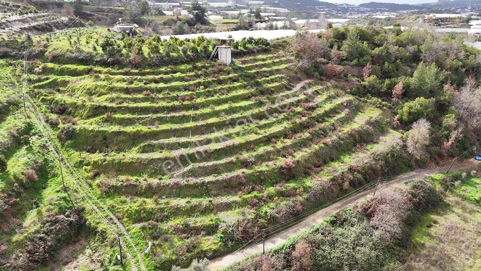 Alanya Toslak Yeniköy'de Yola Sıfır 5.449m2 Satılık Tarla - Görsel 13