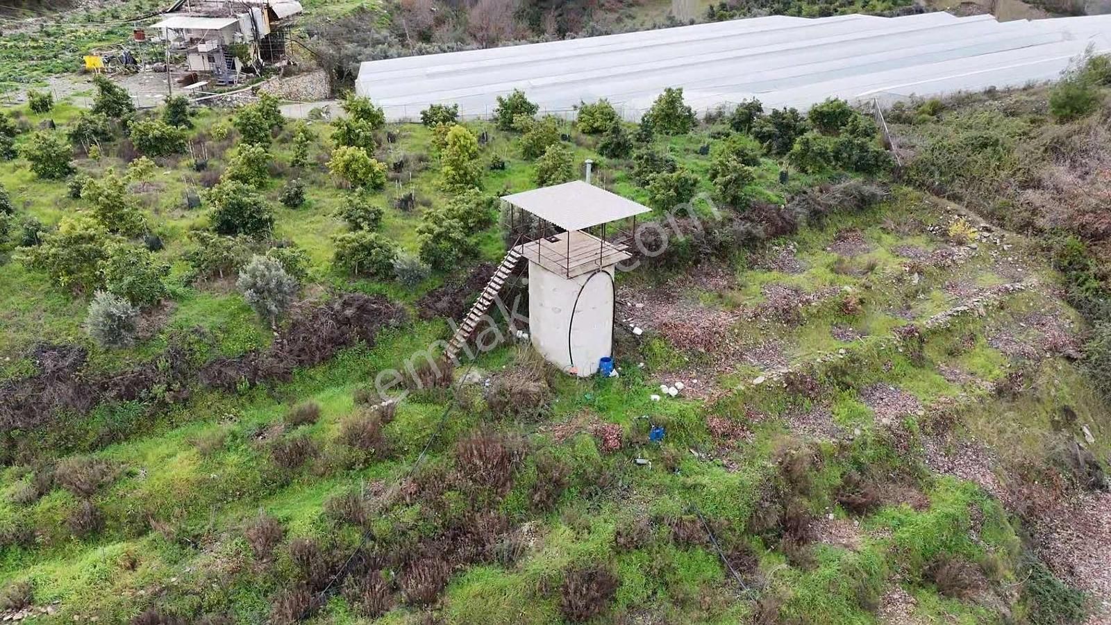 Alanya Toslak Yeniköy'de Yola Sıfır 5.449m2 Satılık Tarla - Görsel 7