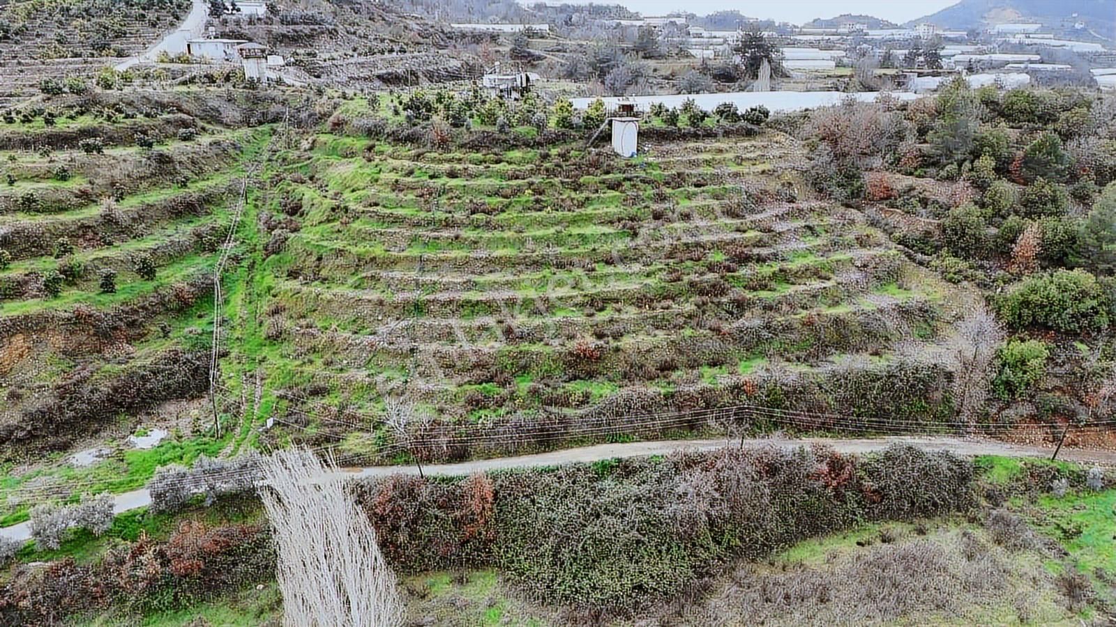 Alanya Toslak Yeniköy'de Yola Sıfır 5.449m2 Satılık Tarla - Görsel 9