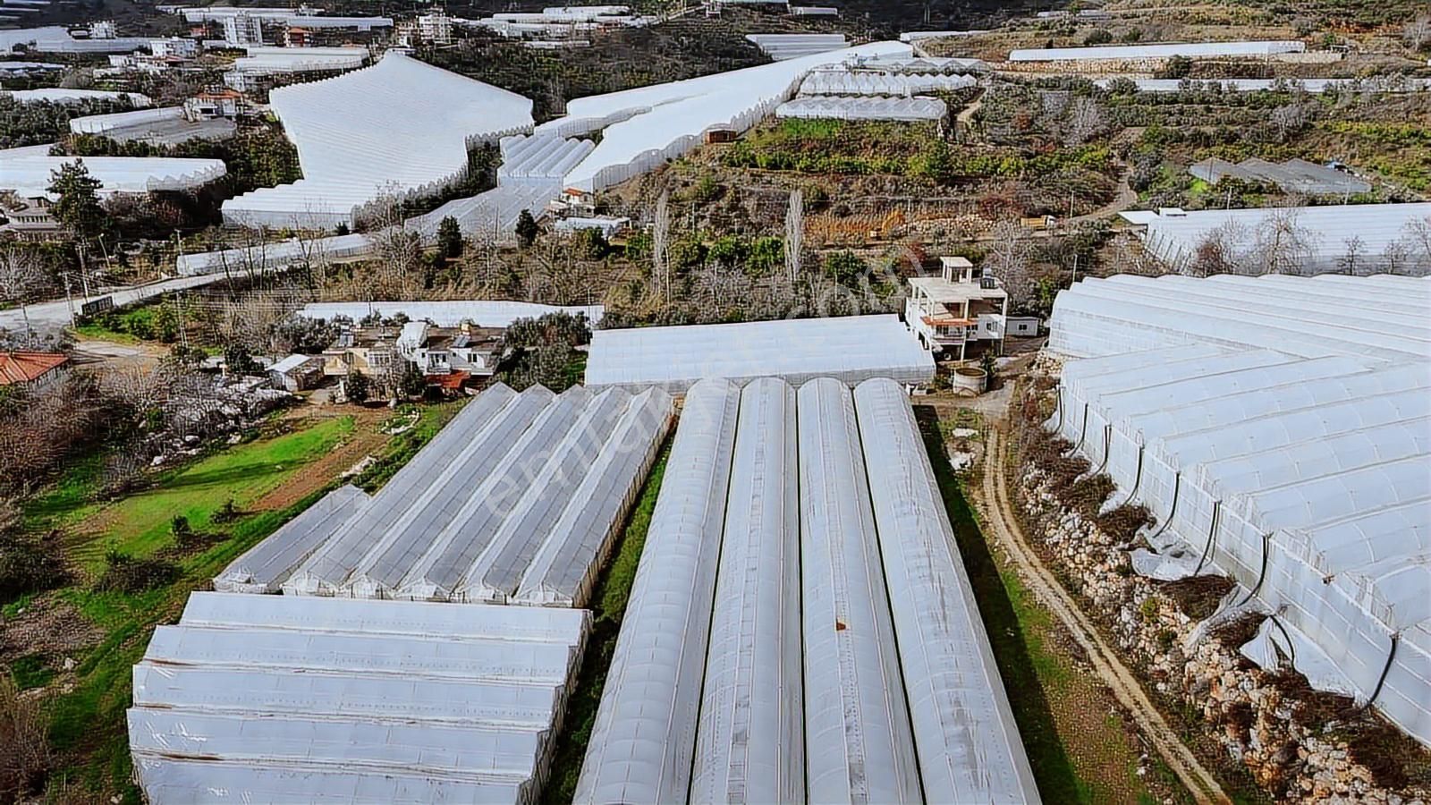 Alanya Toslak Yeniköy'de Yola Sıfır 5.449m2 Satılık Tarla - Görsel 5