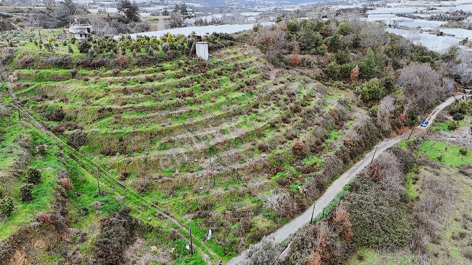 Alanya Toslak Yeniköy'de Yola Sıfır 5.449m2 Satılık Tarla - Görsel 11