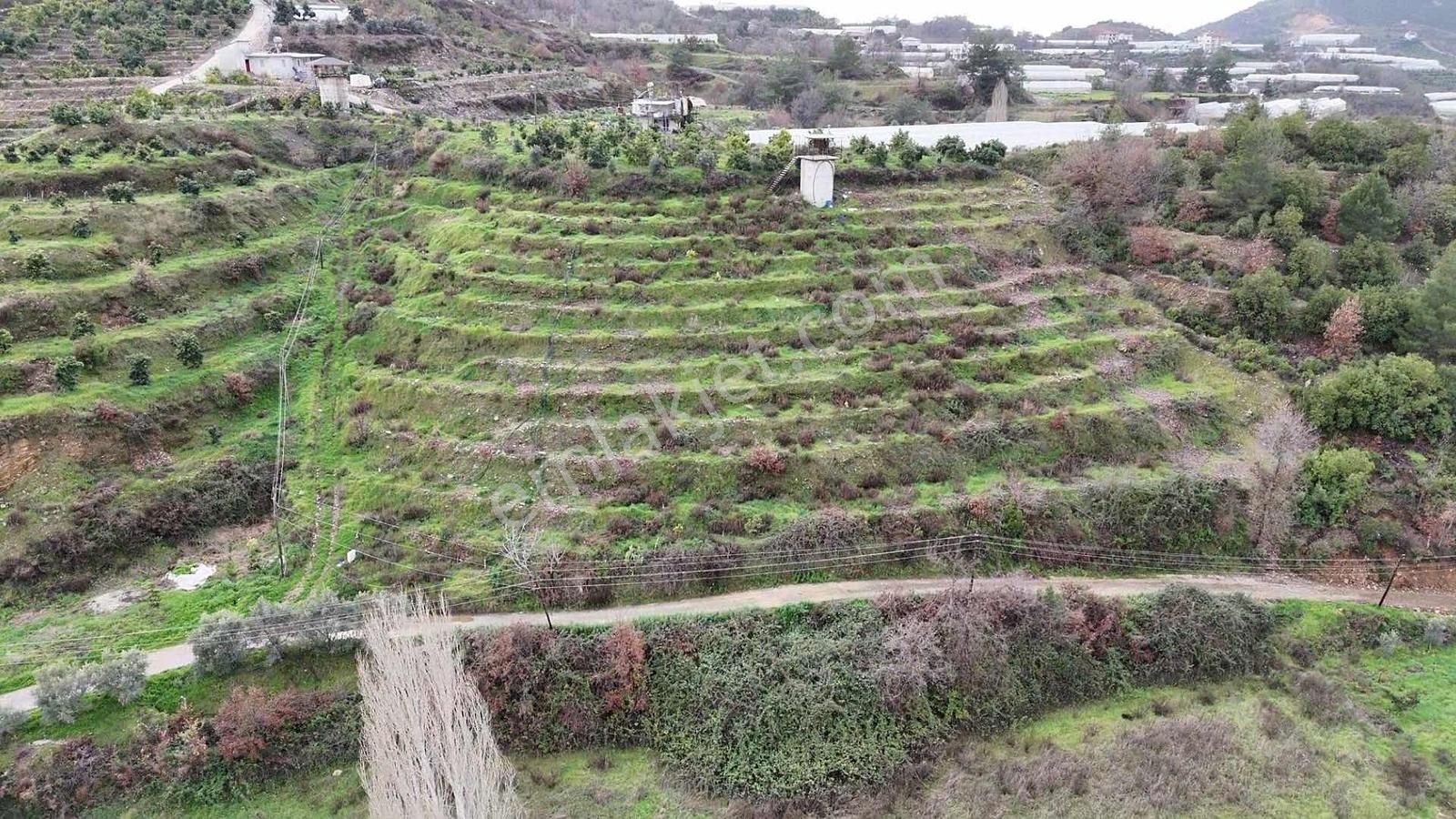 Alanya Toslak Yeniköy'de Yola Sıfır 5.449m2 Satılık Tarla - Görsel 10