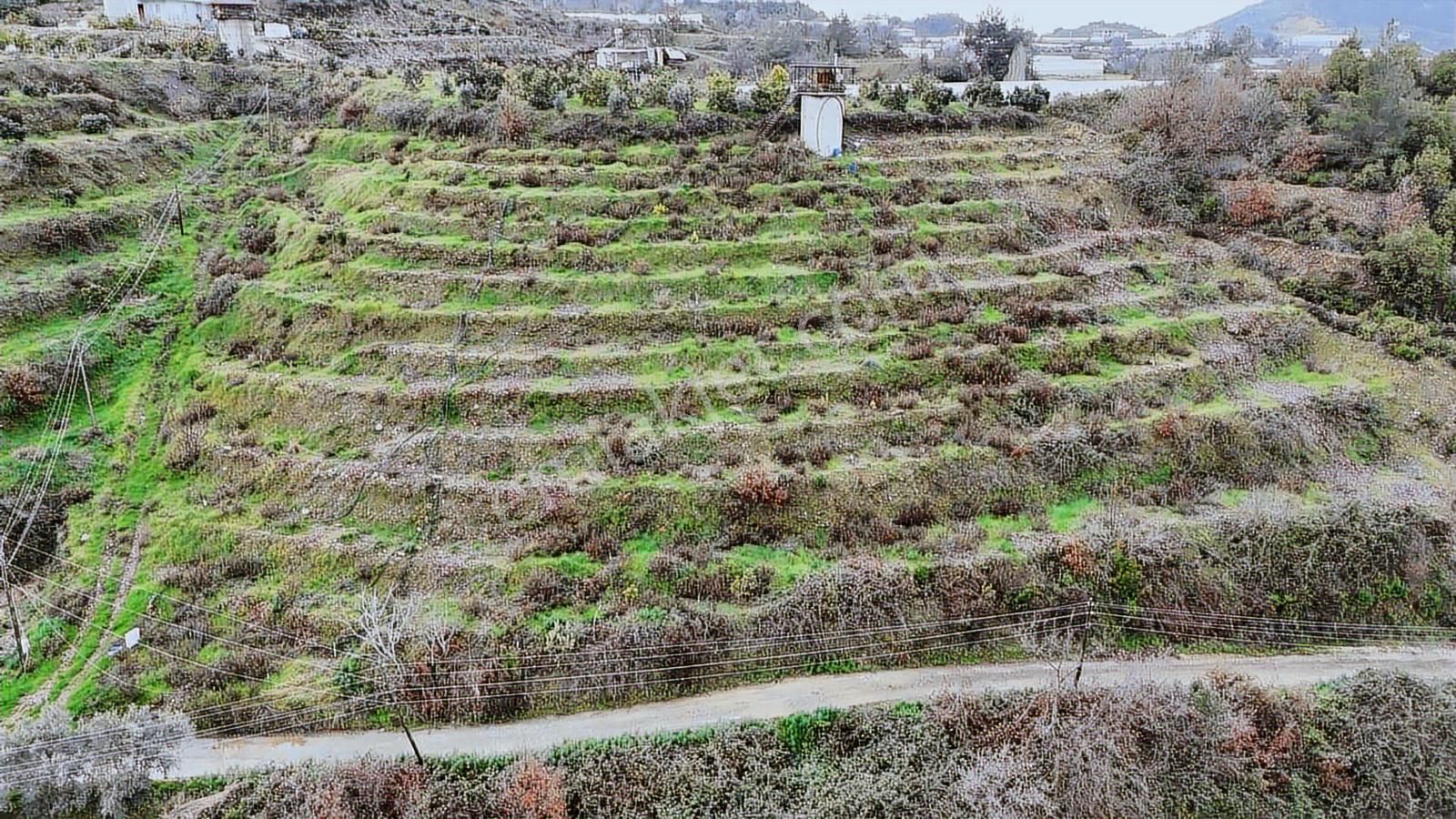 Alanya Toslak Yeniköy'de Yola Sıfır 5.449m2 Satılık Tarla - Görsel 8
