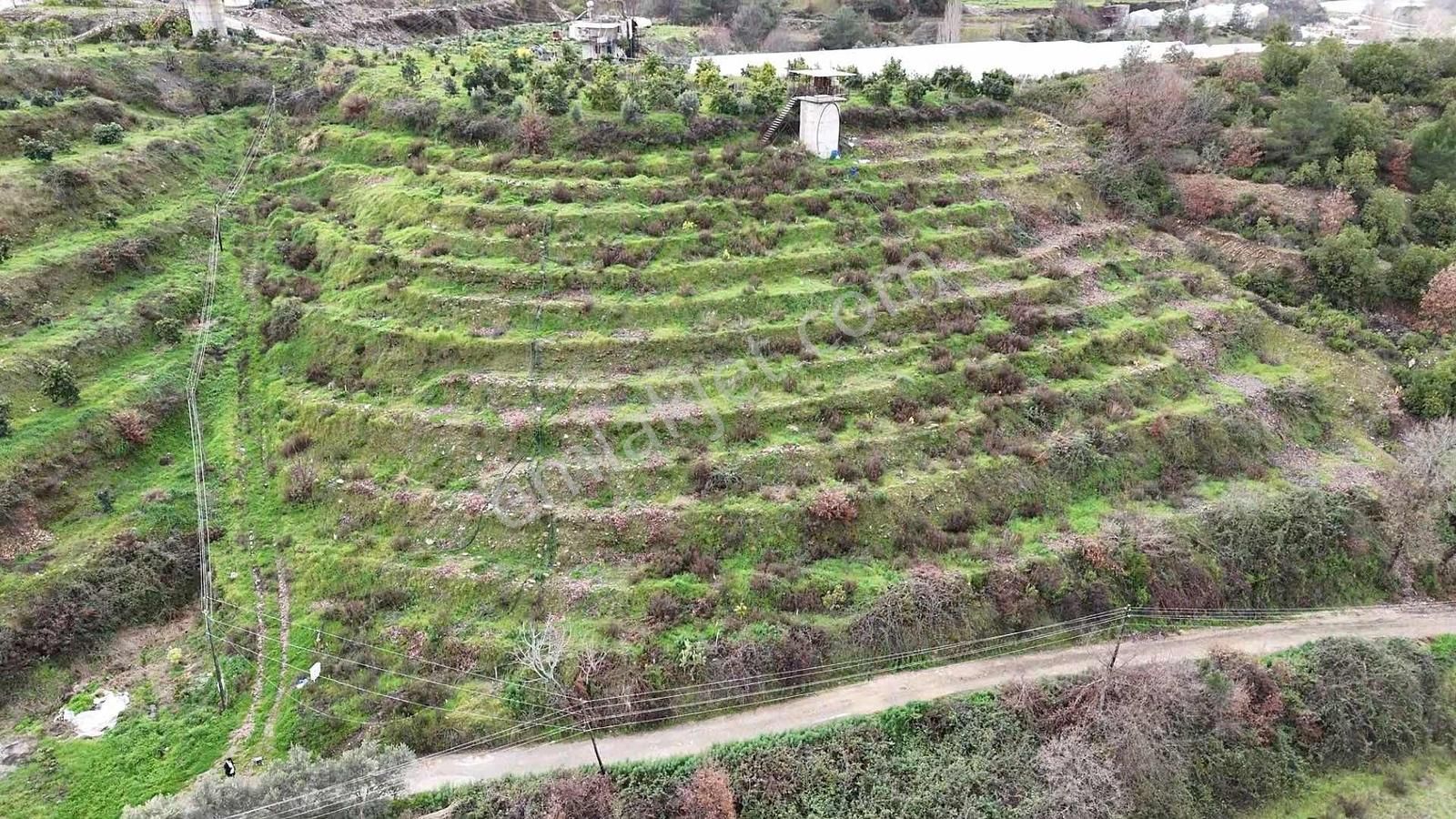 Alanya Toslak Yeniköy'de Yola Sıfır 5.449m2 Satılık Tarla