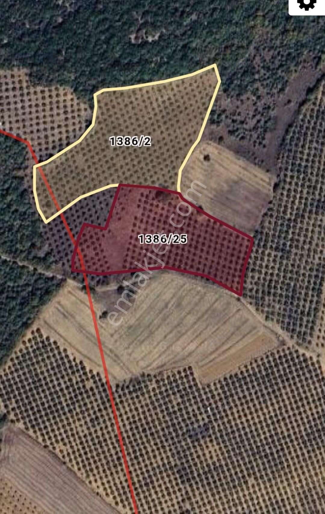 Bursa Karacabey Akçasusurluk Ta Çok Kıymetli Satılık Tarla - Görsel 3