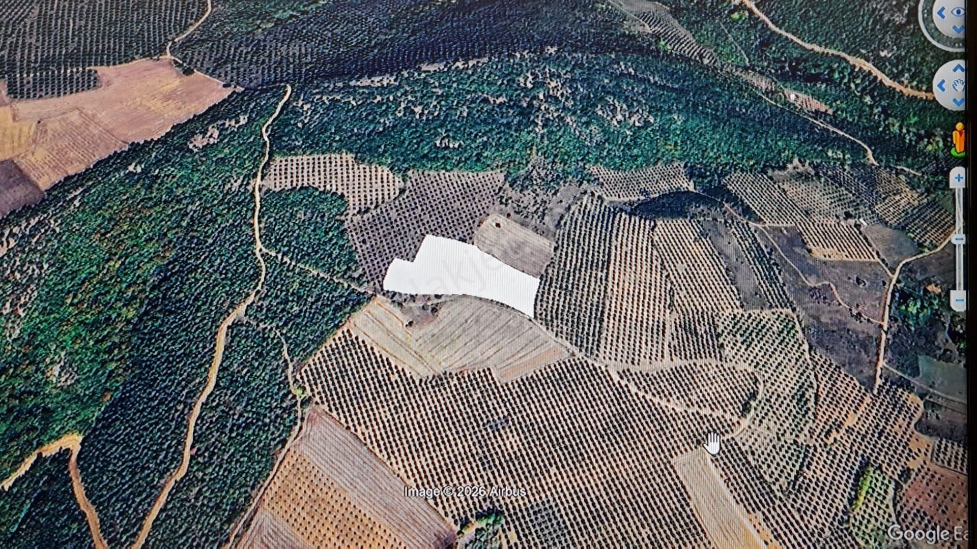 Bursa Karacabey Akçasusurluk Ta Çok Kıymetli Satılık Tarla - Görsel 18