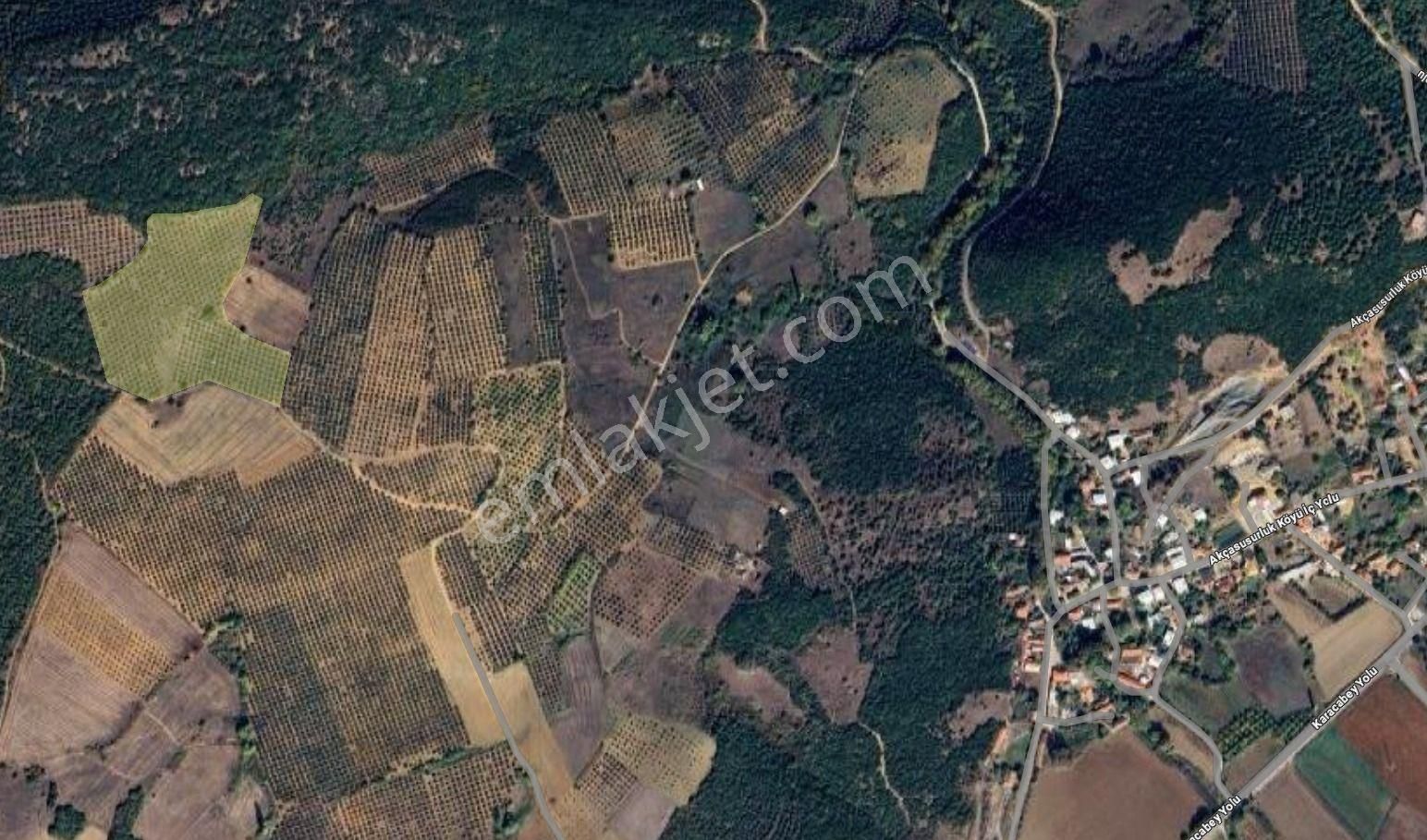 Bursa Karacabey Akçasusurluk Ta Çok Kıymetli Satılık Tarla - Görsel 6