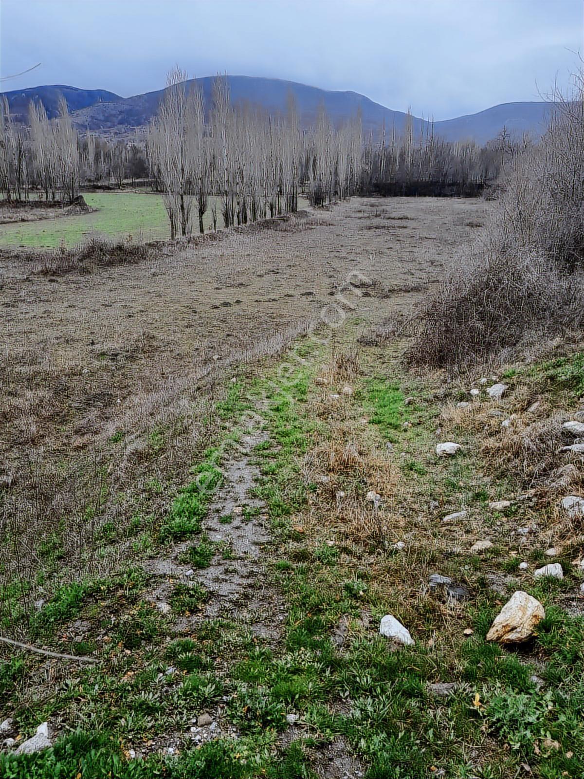 Çorum Merkez Boğabağı Mahallesinde Yola 137 Metre Cepheli Tarla - Görsel 2