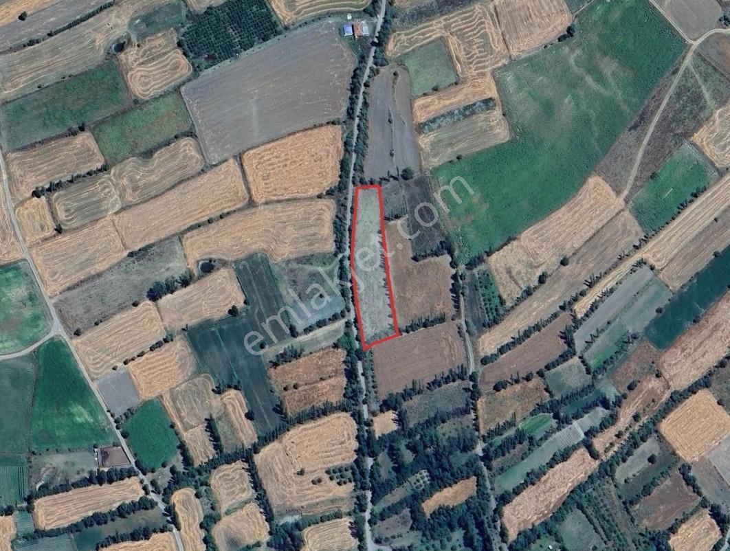 Çorum Merkez Boğabağı Mahallesinde Yola 137 Metre Cepheli Tarla - Görsel 4