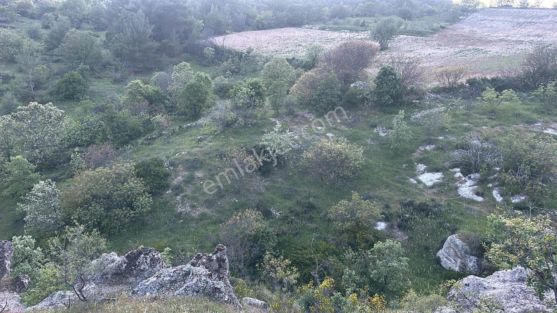 Kelepir Yatırımlık Tarla