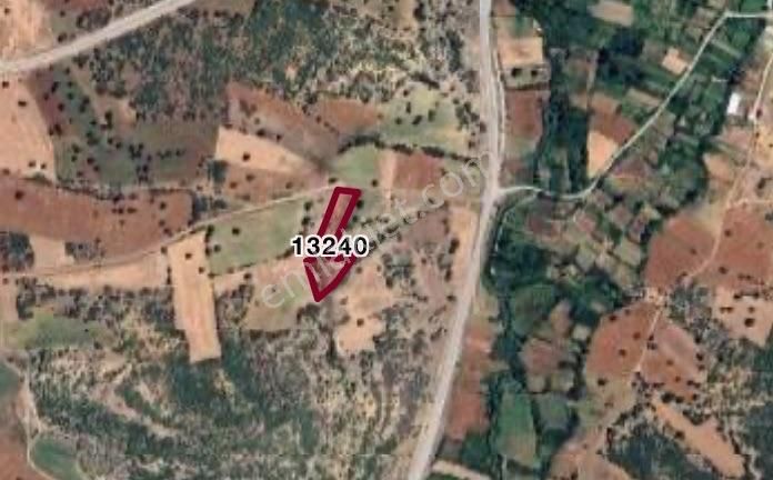 Konya Beyşehir Üstünler’de 6.594 M² Satılık Tarla – D687 Karayolu Ve Beyşehir Gölü’ne Yakın!