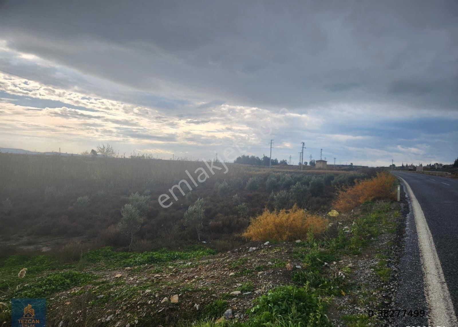 🌿 Söke Atburgazi Mahallesinde Asfalta Sıfır 4.750 Metre Kare Satılık Tarla