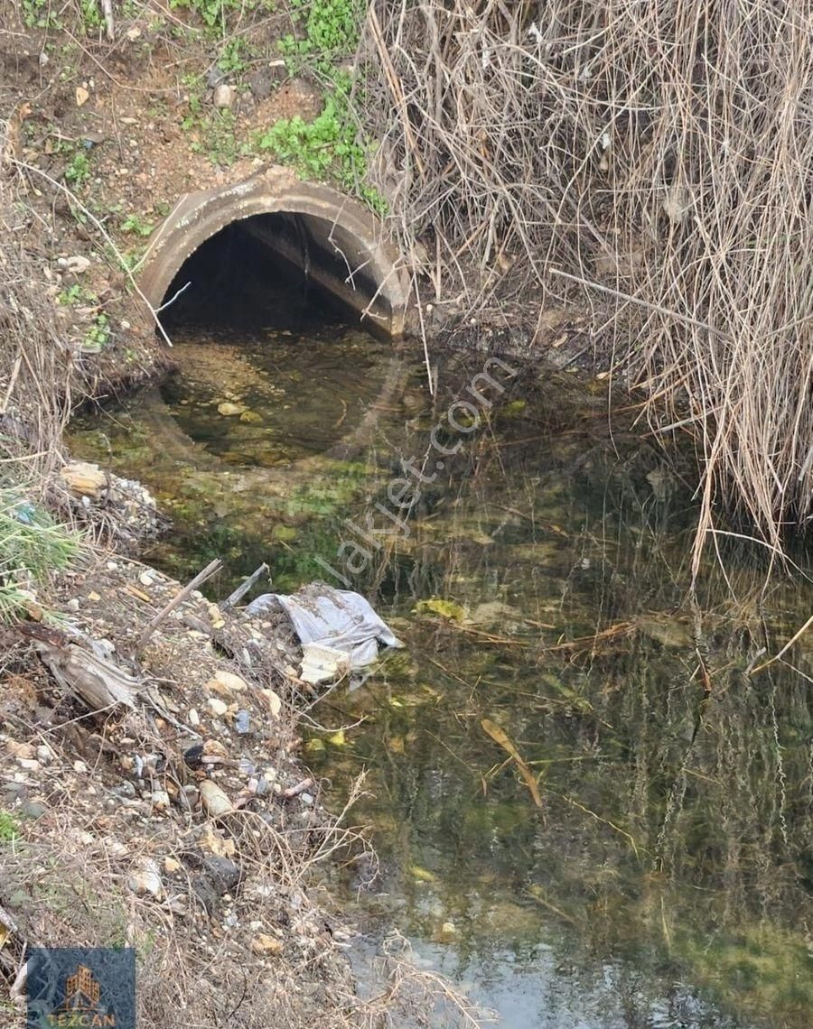🌿 Söke Atburgazi Mahallesinde Asfalta Sıfır 4.750 Metre Kare Satılık Tarla - Görsel 5