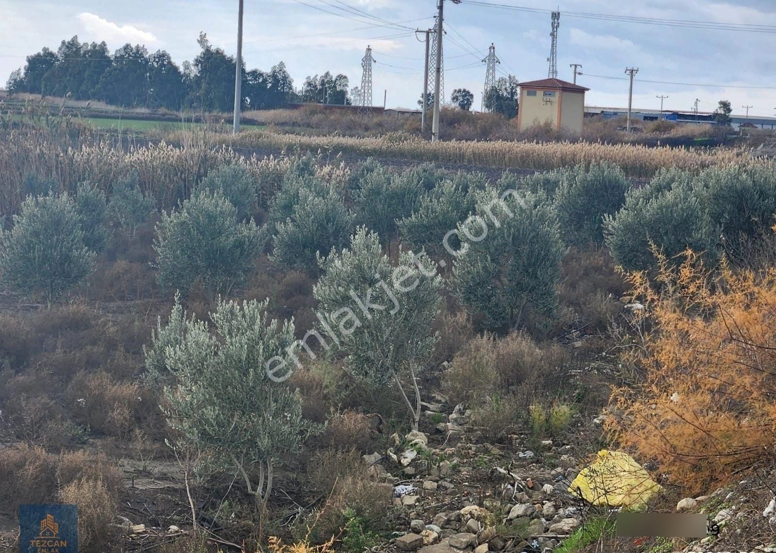 🌿 Söke Atburgazi Mahallesinde Asfalta Sıfır 4.750 Metre Kare Satılık Tarla - Görsel 3