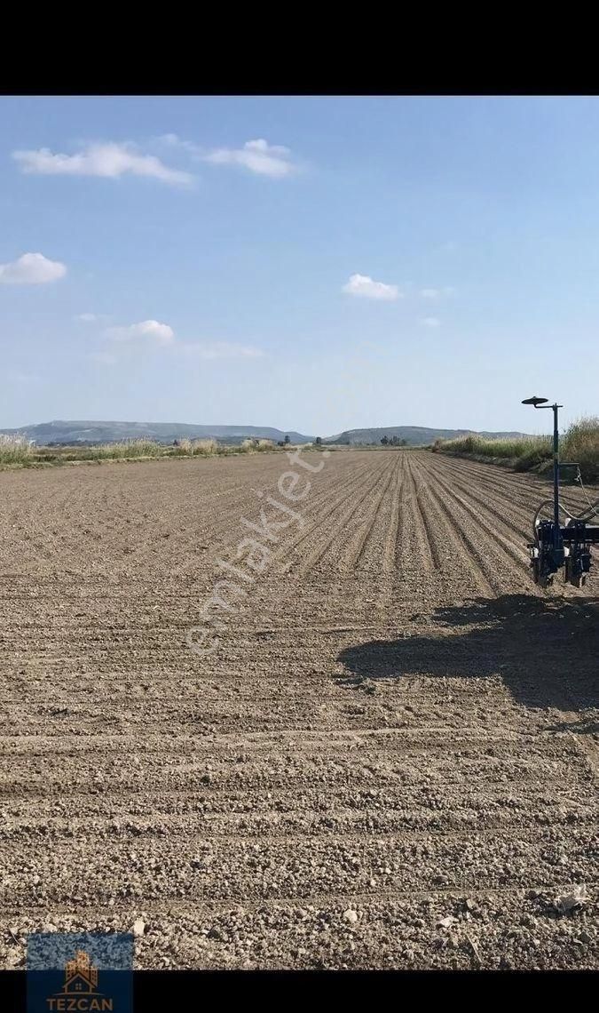 🌾 Söke Doğanbey’de Ana Yola Yakın 19.792 M² Satılık Tarla (pazarlıklı) - Görsel 2