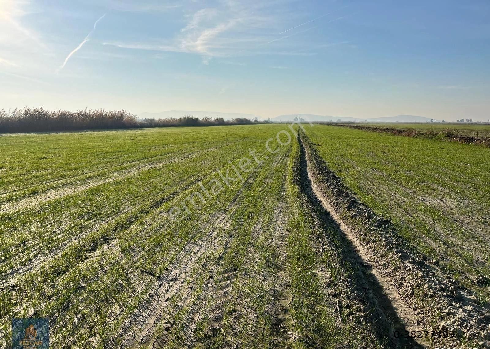 🌾 Söke Doğanbey’de Ana Yola Yakın 19.792 M² Satılık Tarla (pazarlıklı) - Görsel 6