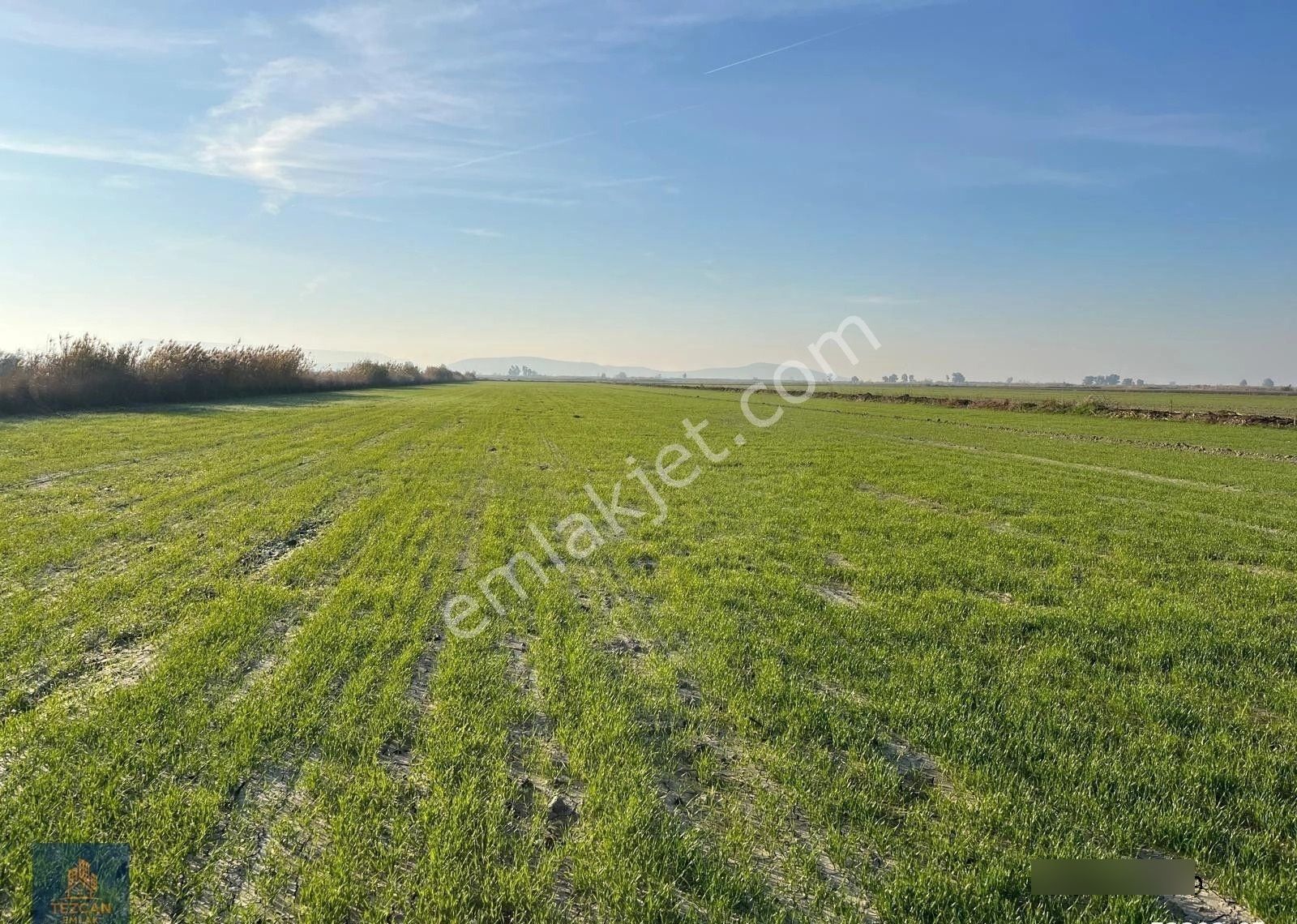 🌾 Söke Doğanbey’de Ana Yola Yakın 19.792 M² Satılık Tarla (pazarlıklı) - Görsel 3