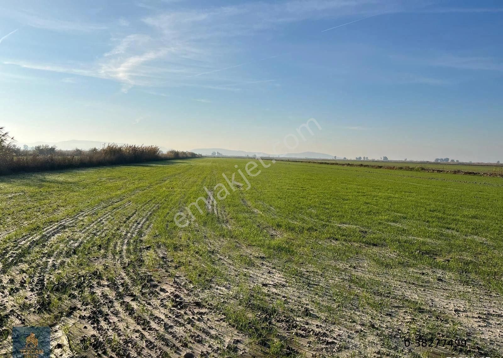 🌾 Söke Doğanbey’de Ana Yola Yakın 19.792 M² Satılık Tarla (pazarlıklı) - Görsel 5