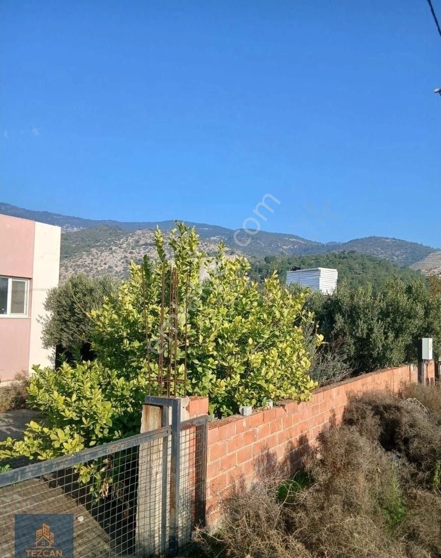 🌿 Söke Tuzburgazı Mahallesi'nde Zeytin Ağaçları İçinde Müstakil Ev + Arsa 🌿