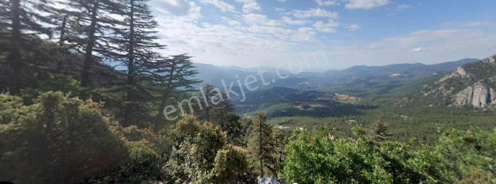 Kumluca Karacaören'de Emsalsiz Fiyata Satılık Tarla