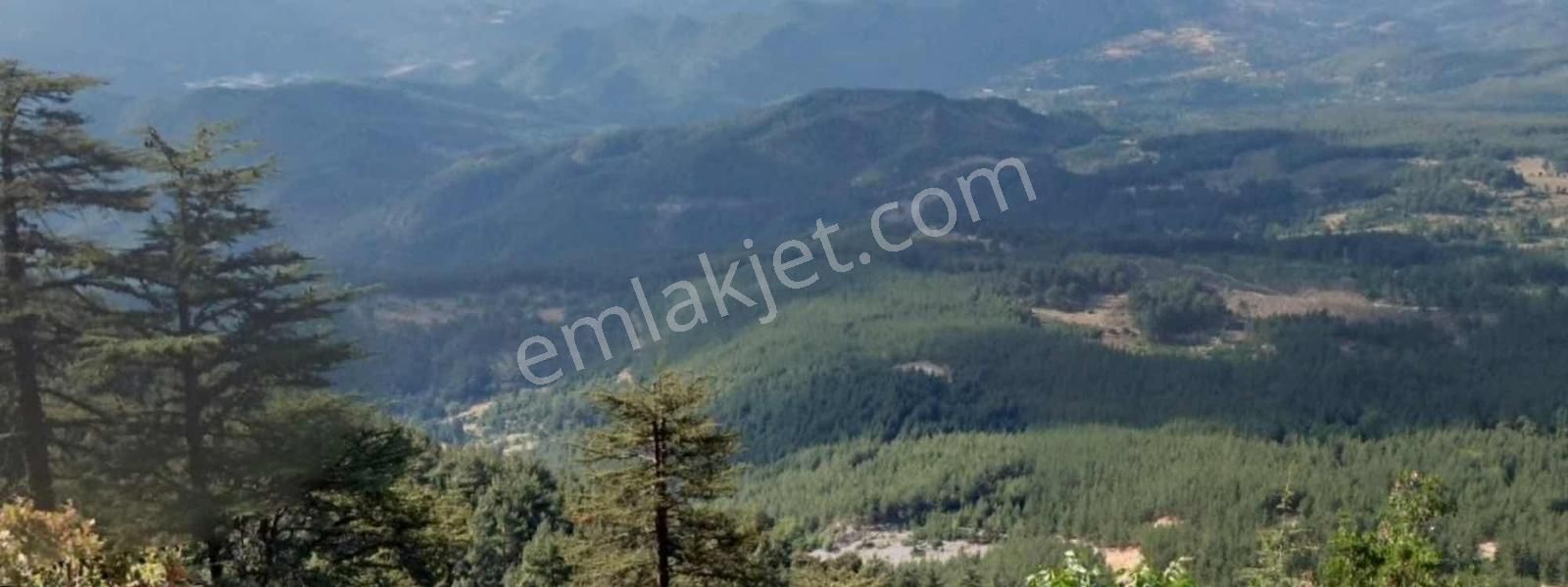 Kumluca Karacaören'de Emsalsiz Fiyata Satılık Tarla - Görsel 3