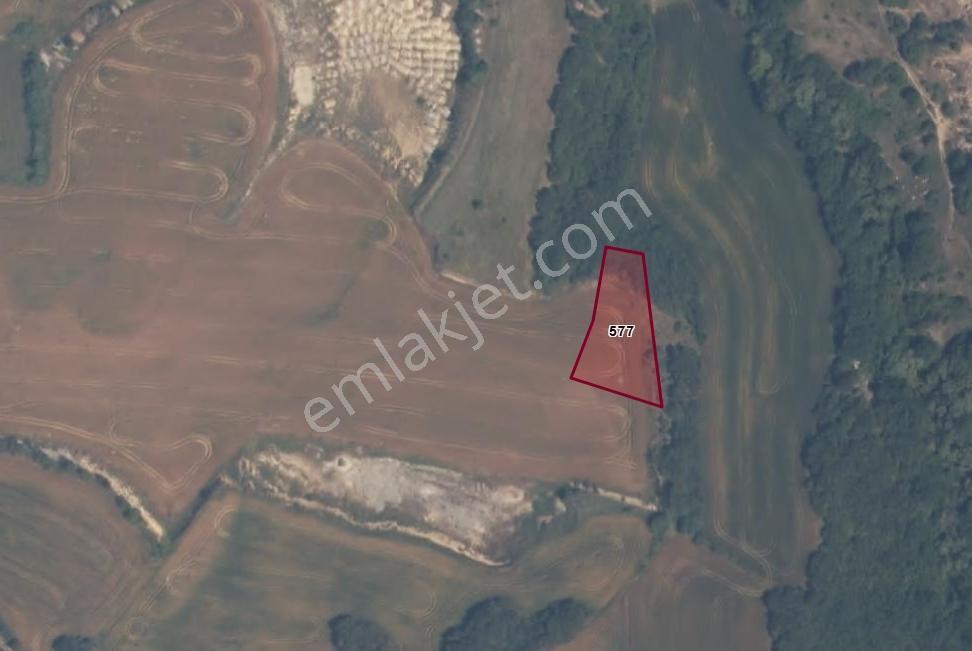 Ege Emlak'tan Küçük Doğanca Köyünde Satılık Fırsat Tarla - Görsel 4