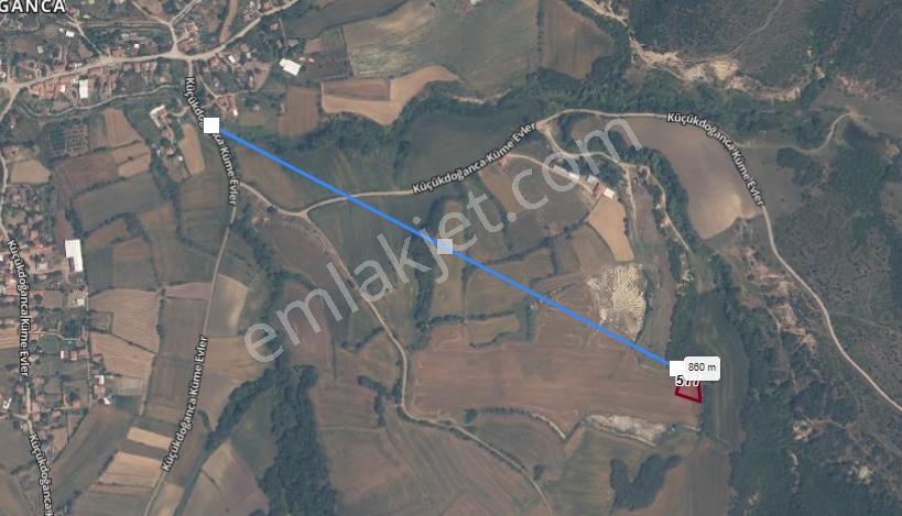 Ege Emlak'tan Küçük Doğanca Köyünde Satılık Fırsat Tarla - Görsel 3